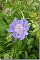 053