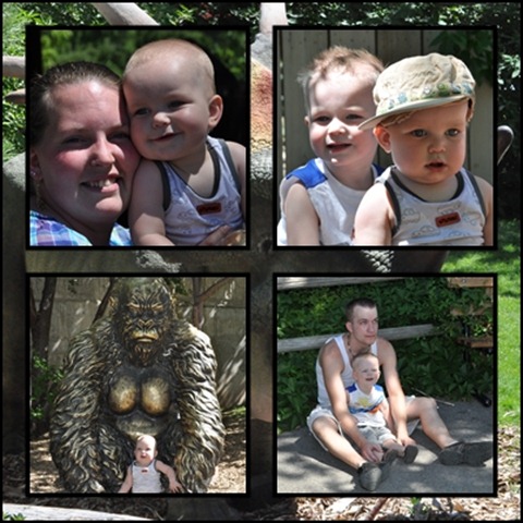 zoo