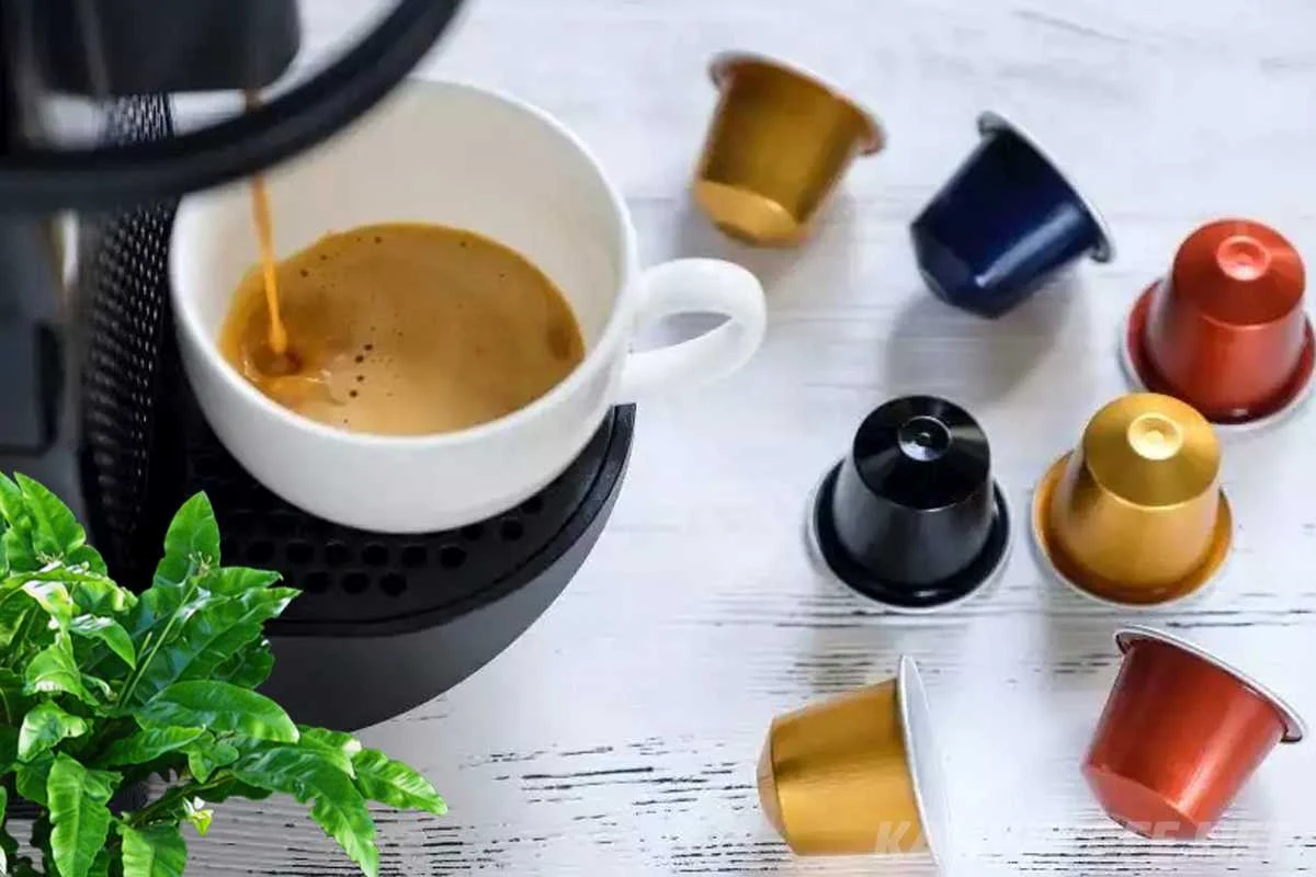 kapsül kahve hakkında en çok merak ettikleriniz - www_kahvekafe_net