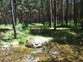 Ruta en bici de Cercedilla a Segovia, junio 2012