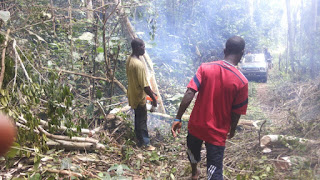 Preparations for cultivation