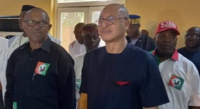 Two former heads of state are ‘Obidients’ – say Pat Utomi