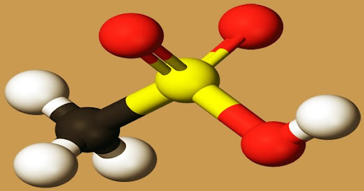 Methane Sulfonic Acid