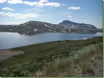 Veien hjem fra Skåbu, juni 09 016