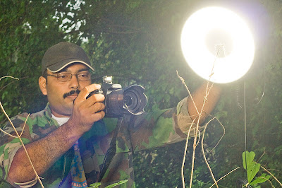 DIY Beauty Dish