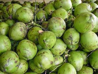 Health Benefits of Coconut (Coconut, Cocos nucifera Linn)