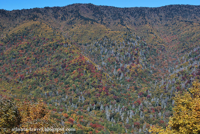 Great Smoky Mountains park