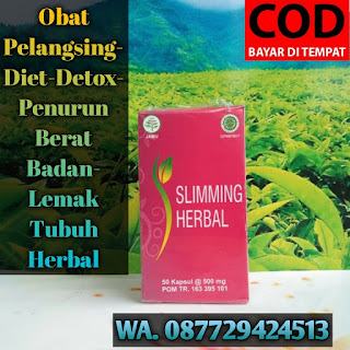 Jual Obat Pelangsing Penurun Berat Badan Diet Ampuh Di Apotik Batu Bisa COD