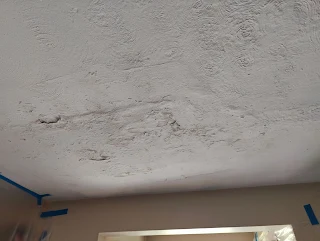 Plaster Ceiling damage