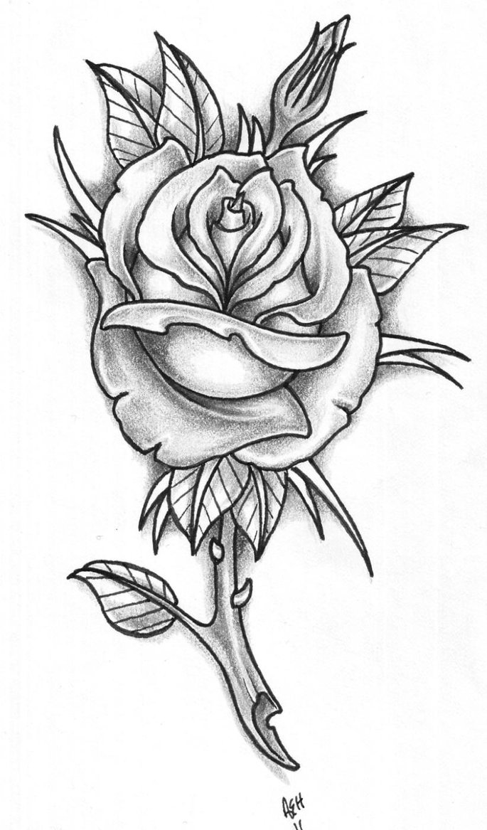 Rose Tattoo Design