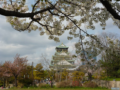 桜と大阪城