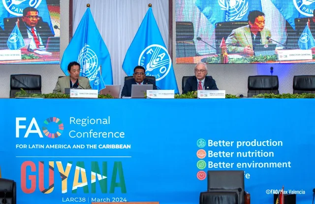 Nuevas prioridades de la FAO para transformar los sistemas agroalimentarios
