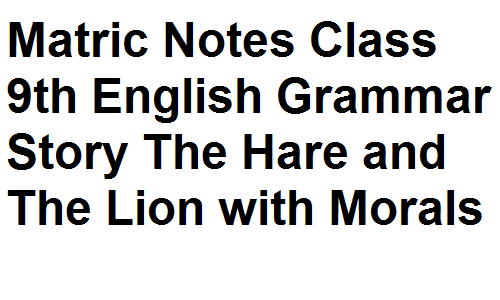Matric Notes Class 9th English Grammar Story The Hare and The Lion with Morals