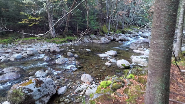 Sentier en direction du Basin et Saddleback