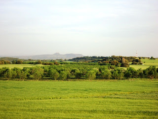 CAMPO DE CEREAL EN EL SASO (ALBERUELA DE LALIENA). AL FONDO EL PUEYO DE BARBASTRO