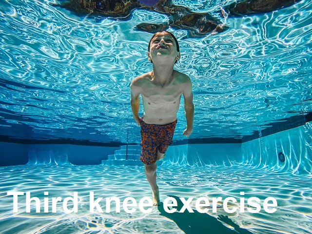 Third knee exercise