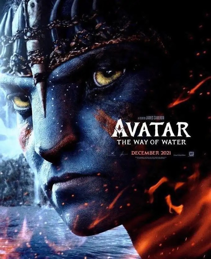 Avatar The Way of Water Hindi English 480p 720p 1020p