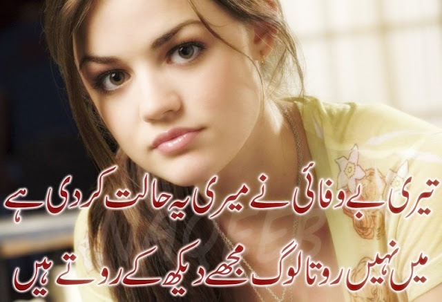 bewafa poetry in urdu 2 lines