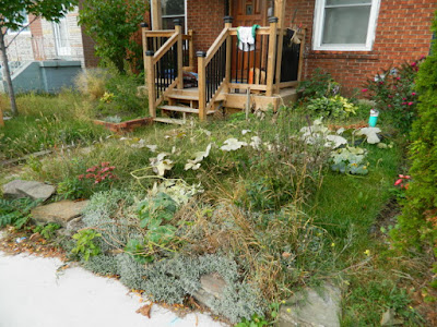 Toronto Front Garden Fall Cleanup Before in East York by Paul Jung Gardening Services--a Toronto Gardening Services Company