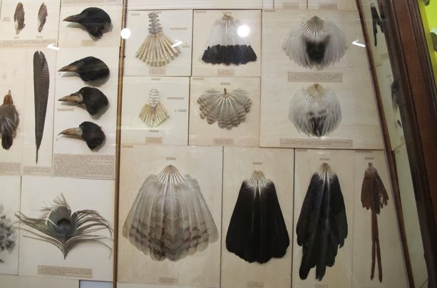 13-collections-2013-11-8-16-56.jpg