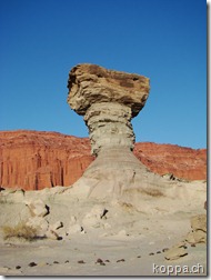 110107 Ischigualasto (20)