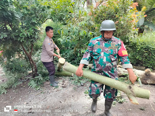 BHABINKAMTIBMAS DAN BABINSA BERSINERGI EVAKUASI POHON TUMBANG DI WILAYAH KALURAHAN BANARAN GALUR