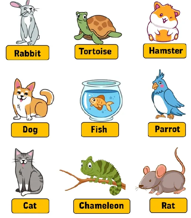 أسماء الحيوانات الأليفة بالإنجليزية مع الصور