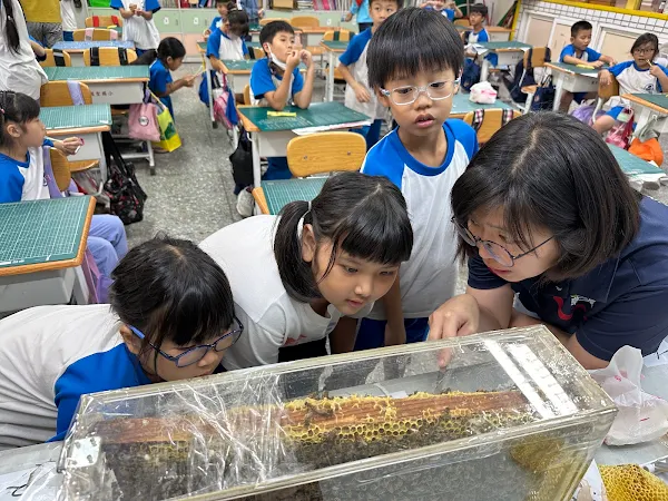 ▲蜜蜂進校園！彰化市國聖國小推SDG生態教學體驗課。（記者林明佑翻攝）