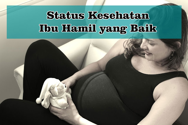 Status Kesehatan Ibu Hamil yang Baik