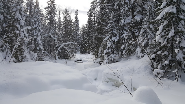 Sentier pour les Chutes-à-Bull