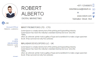 Top One Pages CV in Word format
