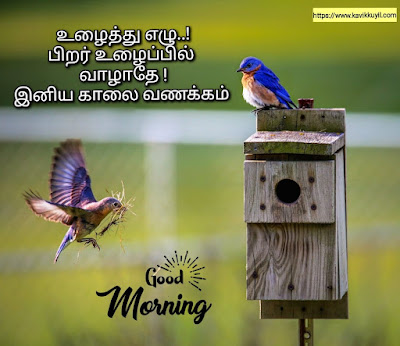 Happy morning quotes and images in tamil, இனிய காலை வணக்கம்