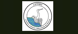 L'Ateneu Juvenil, Cultural i Naturalista de Girona.