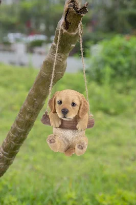 Cachorros fofos: seleção de 40 imagens que vão derreter seu coração