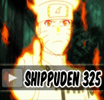 Naruto Shippuden Episode 325 Indonesia