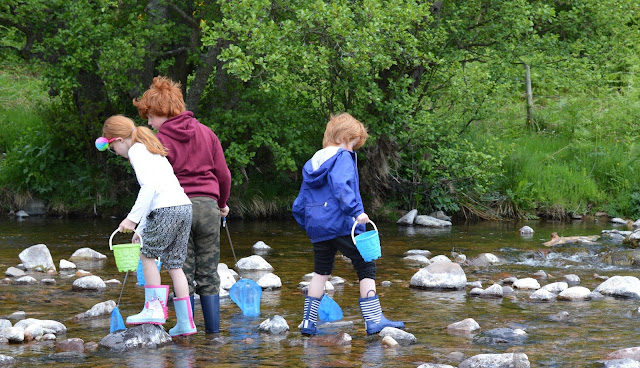 A Family BBQ at Ingram Valley, Northumberland National Park  - fishing net