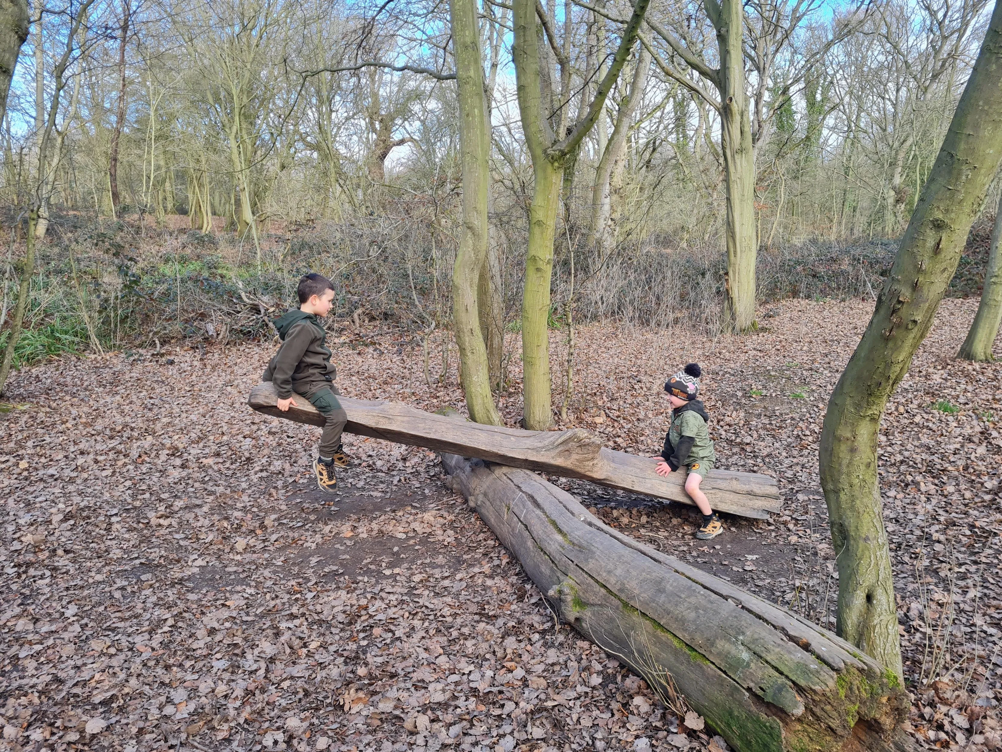 two children on a seesaw in woodland made out of logs