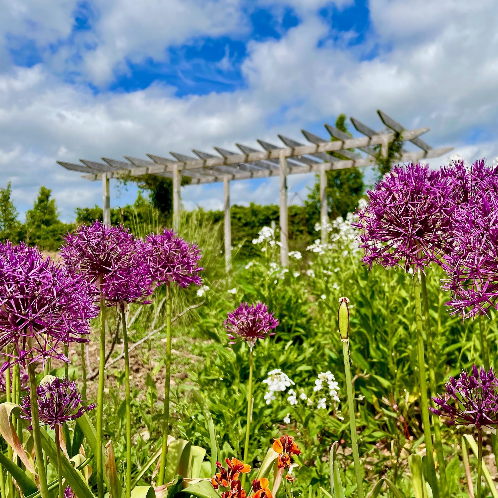 Padua Garden at Keyneston Mill in Dorset