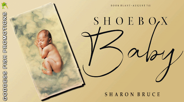 Shoebox Baby by Sharon Bruce