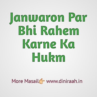 Janwaron Par Bhi Rahem Karne Ka Hukm