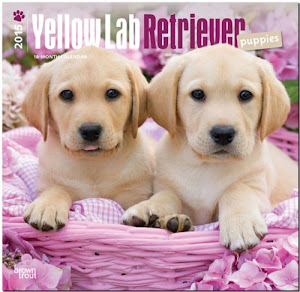 »deSCaRGar. Labrador Retriever Puppies, Yellow 2015 Wall PDF por Brown Trout