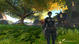 Kingdoms of Amalur Reckoning Game Footage 1