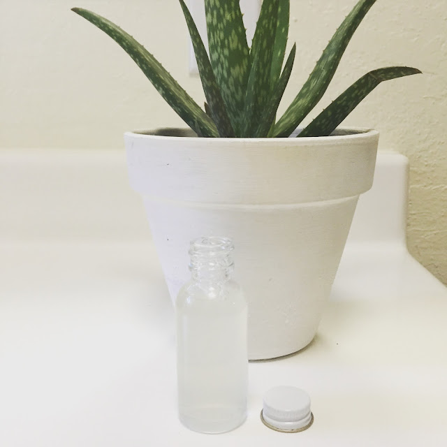 Sunkissed Beauty :: Aloe Vera Benefits for Your Skin