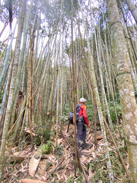 往薩匹基山