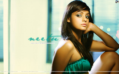 Neetu Chandra Hotest Photo Shoot 