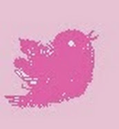 ”twitter”