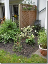 terasse neu1