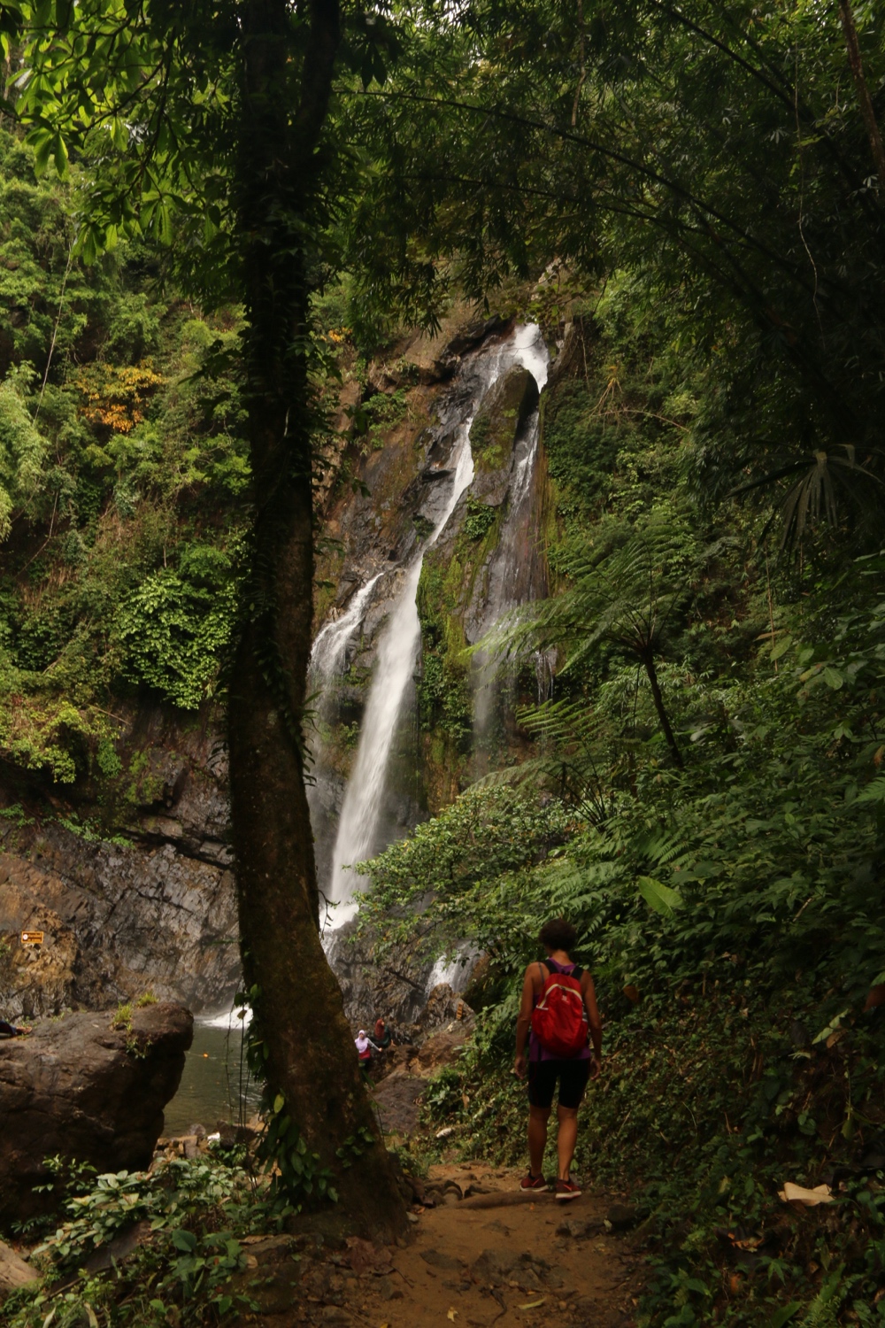 Si Phangnga NP 2