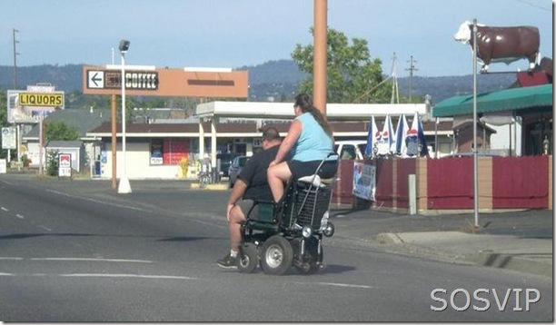Imagens Curiosas (12)
