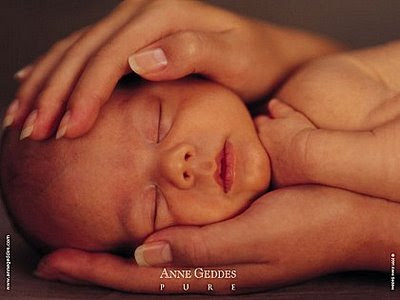 wallpaper anne geddes. anne geddes wallpapers. anne